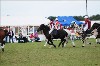 UKPA NC SAT_2768